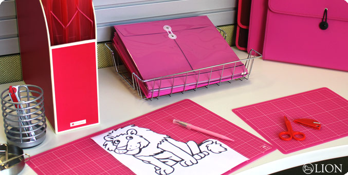 PINK/RED OFFICE PRODUCTS