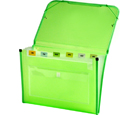 CLEAR-LINE INSTA-COVER® 
7-pocket Poly Expanding File, Transparent Green