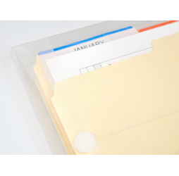 Clear Plastic Inter-office Envelopes, 10 x 15 Envelopes