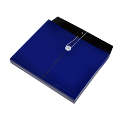 Blue Plastic Envelope with String, Opaque Envelope
