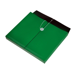 Green Plastic Envelope with String, Opaque Envelope