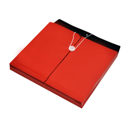 Red Plastic Envelope with String, Opaque Envelope