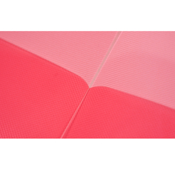 Clear 2-Pocket Plastic Folder, Clear Pink Plastic Folder