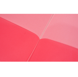 Clear 2-Pocket Plastic Folder, Clear Pink Plastic Folder