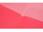 Clear 2-Pocket Plastic Folder, Clear Pink Plastic Folder